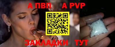 ECSTASY Камышлов