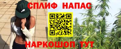 ECSTASY Камышлов