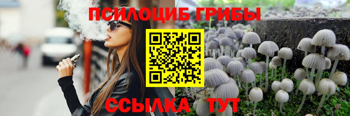купить наркоту  Псилоцибиновые грибы Psilocybine cubensis  Псилоцибиновые грибы мухоморы  Вход с VPN  Унеча 